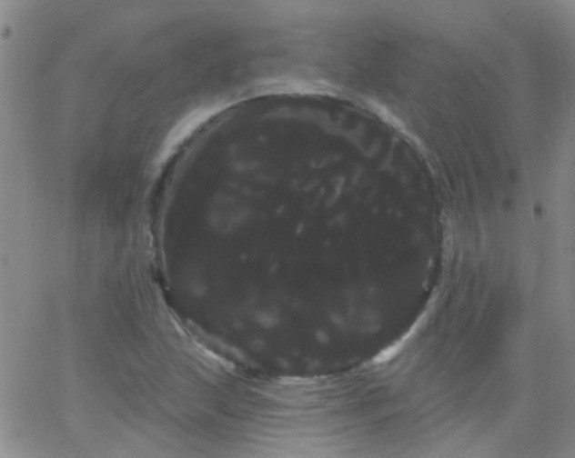 X0000066121215200603171745