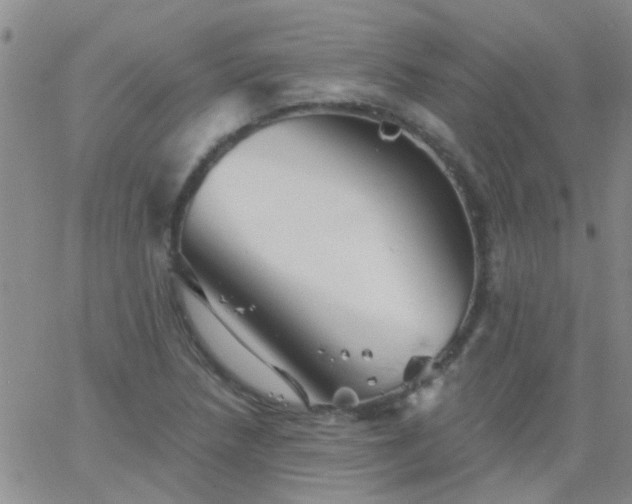 X0000066121218200603171745