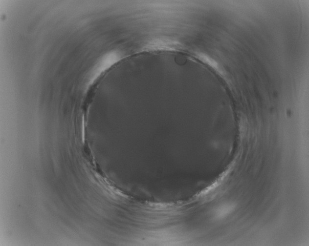 X0000066121219200603171745