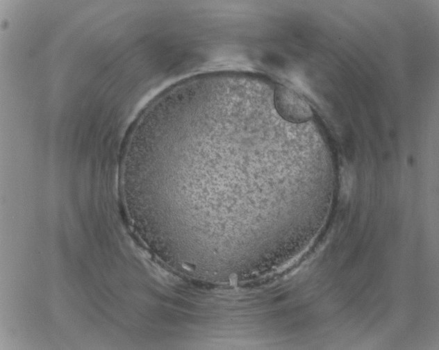 X0000066121220200603171745