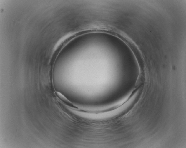 X0000066121222200603171745