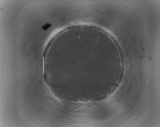 X0000066121223200603171745