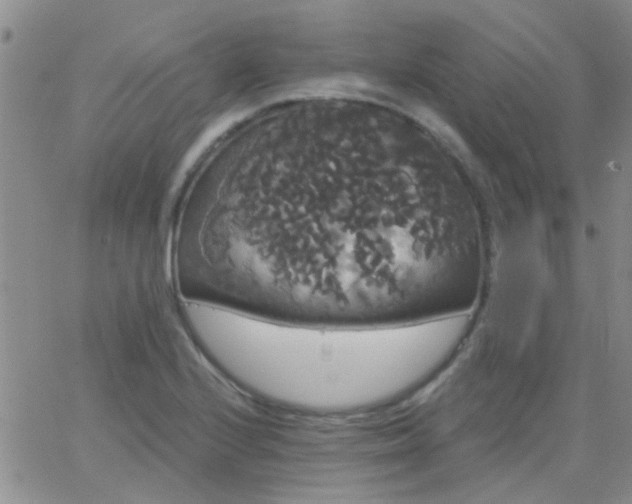 X0000066121224200603171745