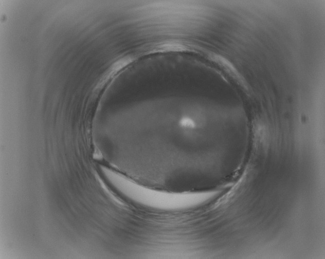 X0000066121225200603171745