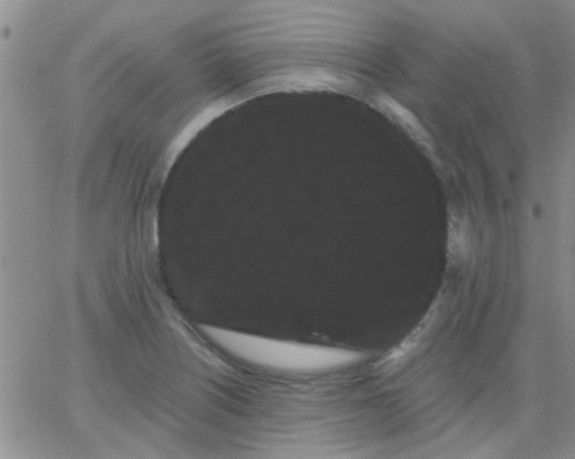 X0000066121226200603171745