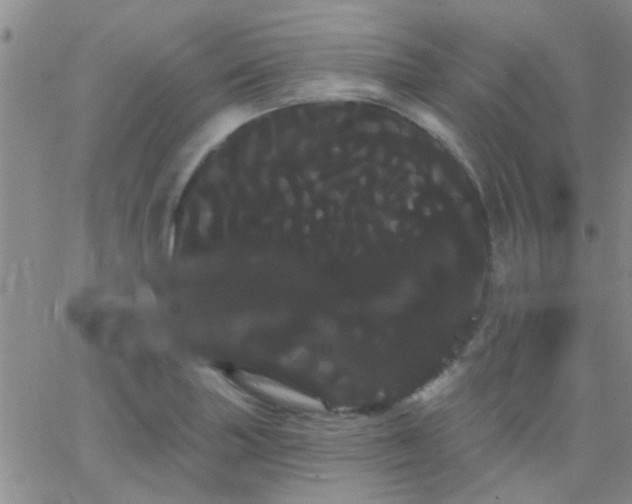 X0000066121227200603171746