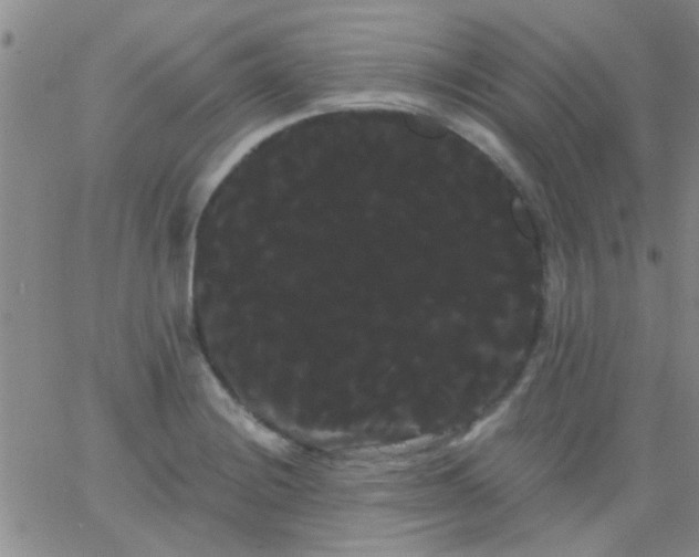 X0000066121228200603171746