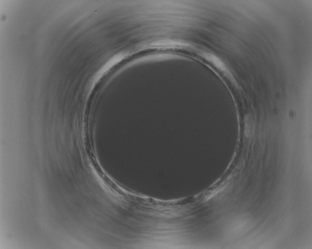 X0000066121229200603171746