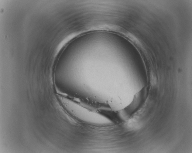 X0000066121230200603171746