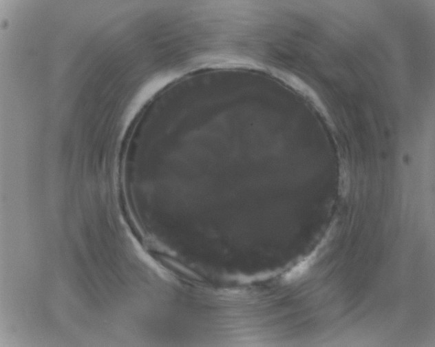 X0000066121231200603171746