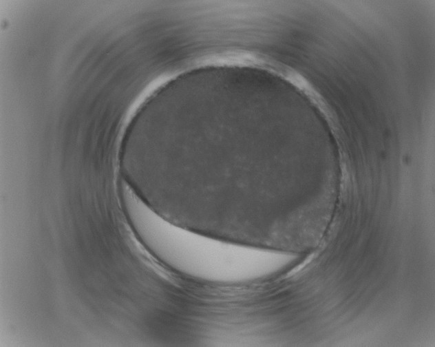 X0000066121232200603171746