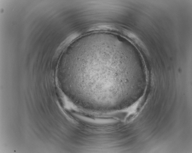 X0000066121233200603171746