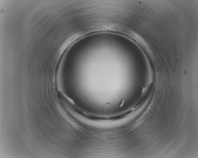 X0000066121234200603171746