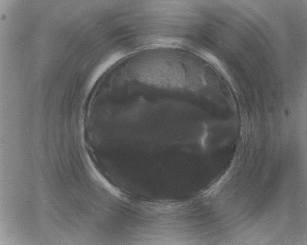 X0000066121235200603171746