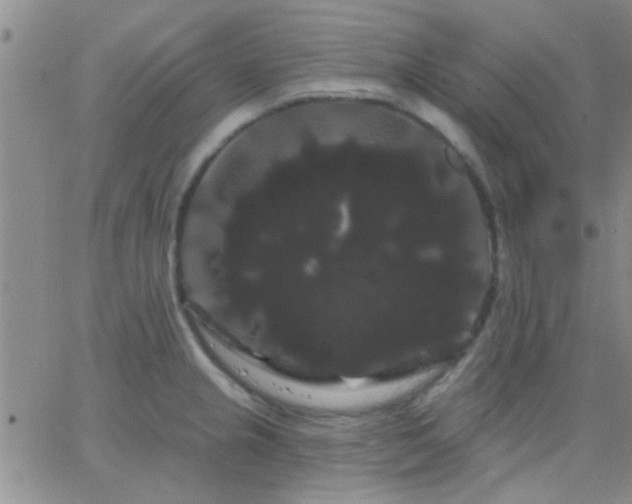 X0000066121237200603171746