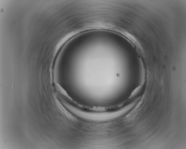 X0000066121238200603171746