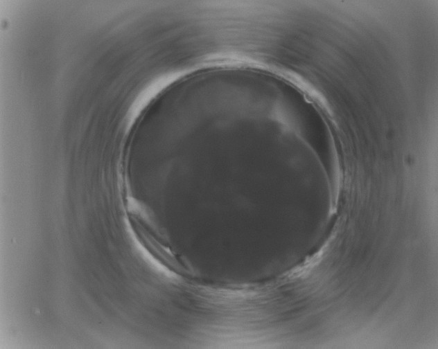 X0000066121239200603171746