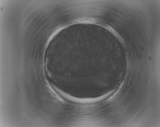 X0000066121240200603171746