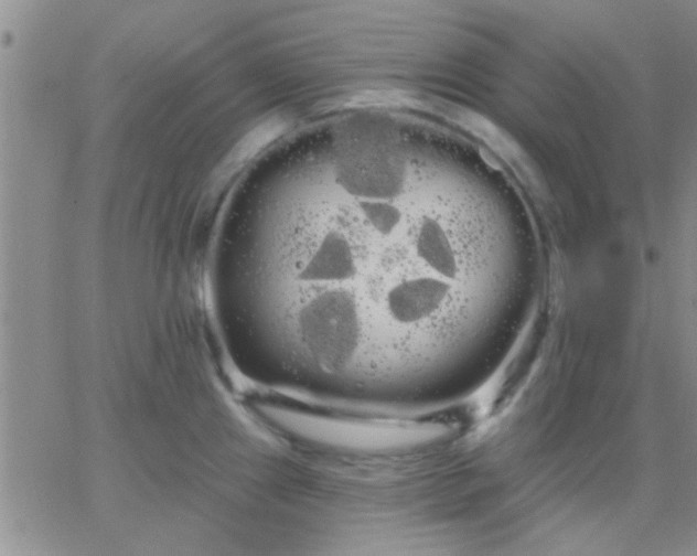 X0000066121241200603171746