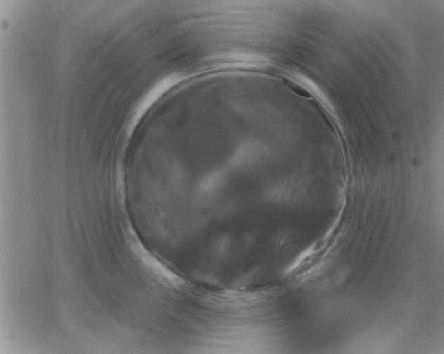 X0000066121243200603171746