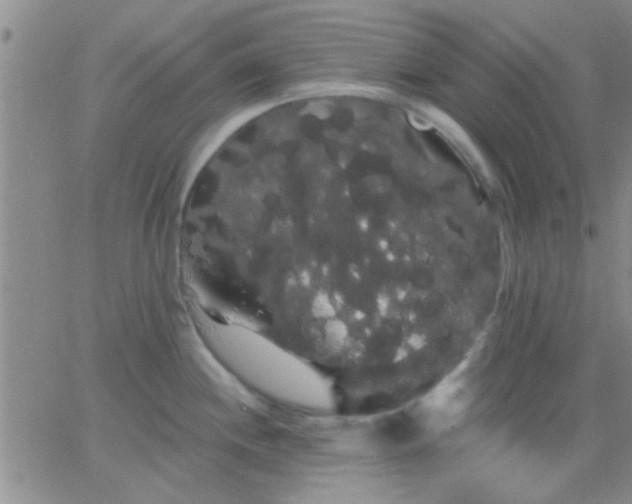 X0000066121244200603171746