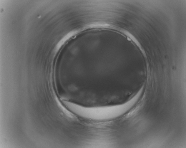 X0000066121245200603171746