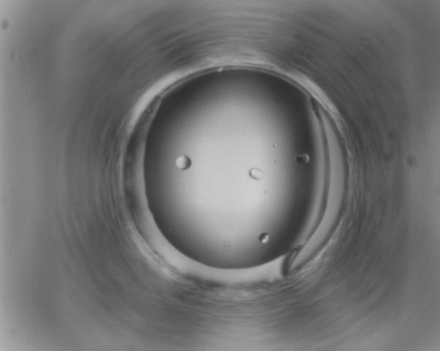 X0000066121246200603171746