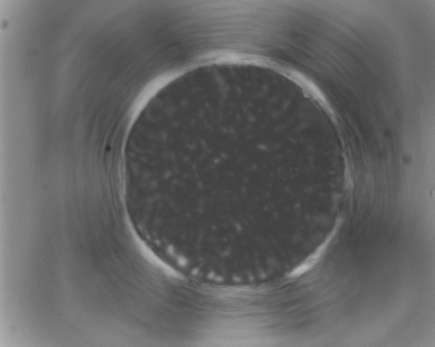 X0000066121247200603171746