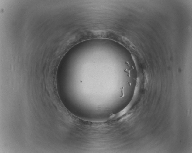 X0000066121249200603171745