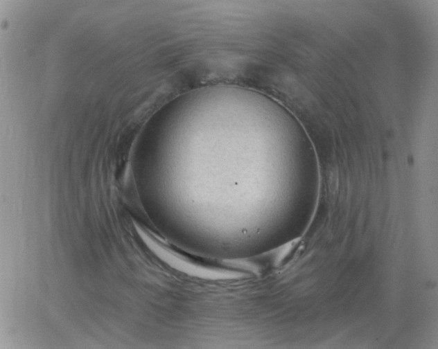 X0000066121250200603171745