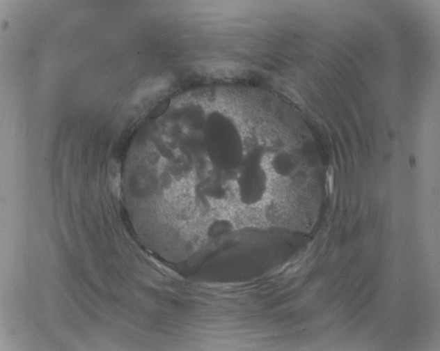 X0000066121251200603171745