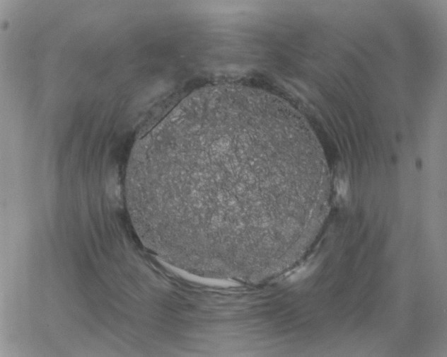 X0000066121252200603171745