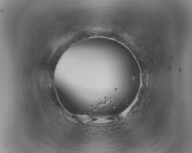 X0000066121253200603171745