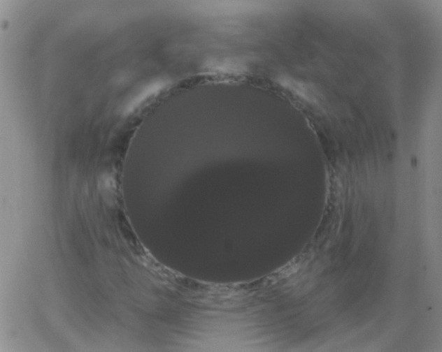 X0000066121254200603171745