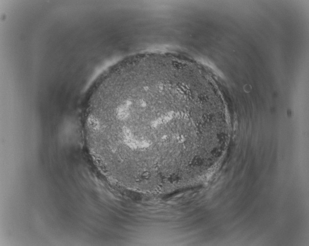 X0000066121256200603171745