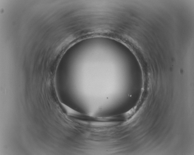 X0000066121257200603171745