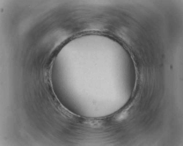 X0000066121258200603171745