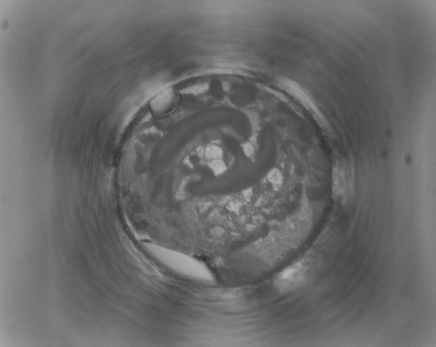 X0000066121260200603171745