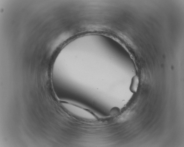 X0000066121261200603171745