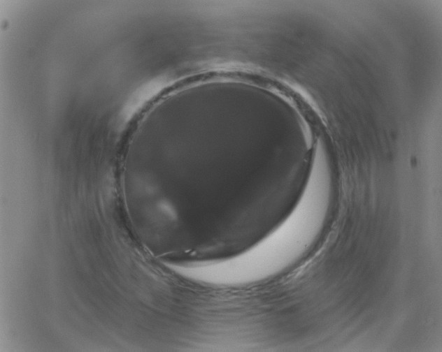 X0000066121263200603171745