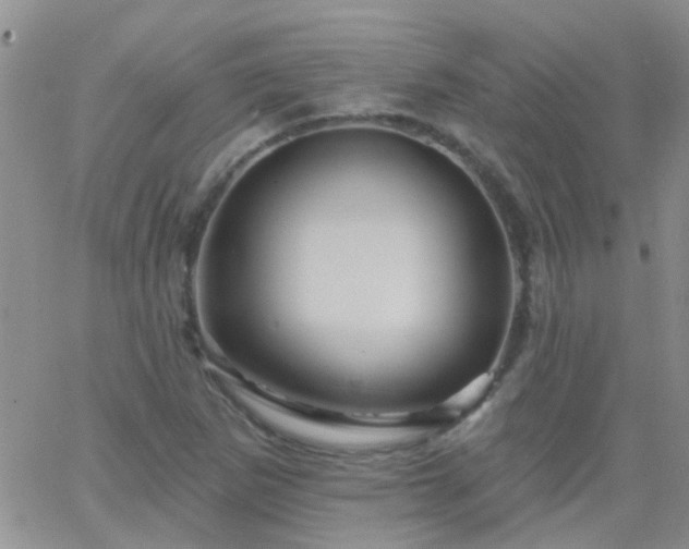 X0000066121265200603171745