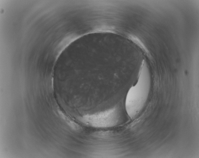 X0000066121268200603171745