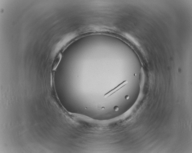 X0000066121269200603171745