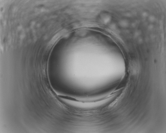 X0000066121273200603171745