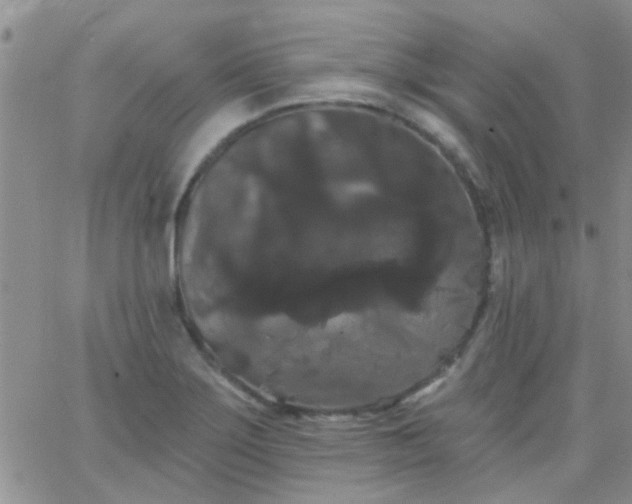 X0000066121275200603171745