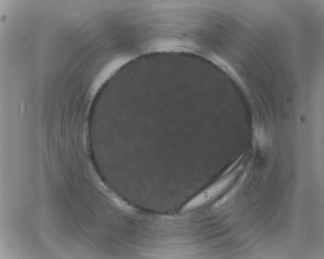 X0000066121277200603171745