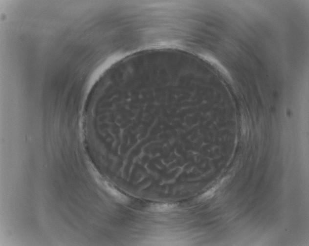 X0000066121278200603171745