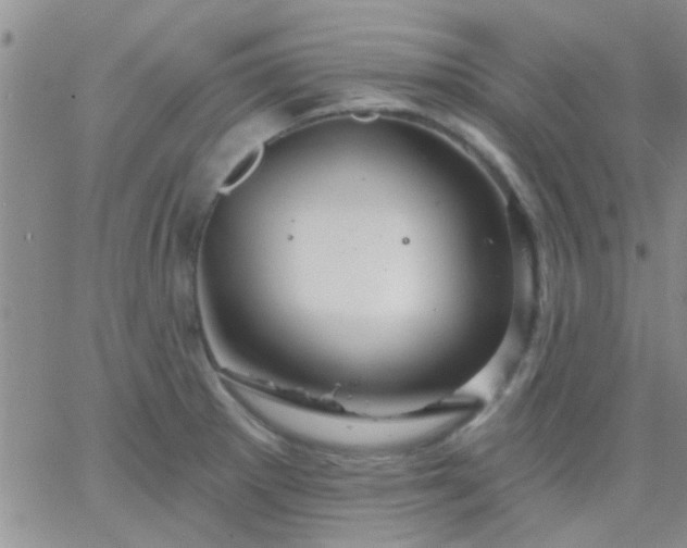 X0000066121281200603171745