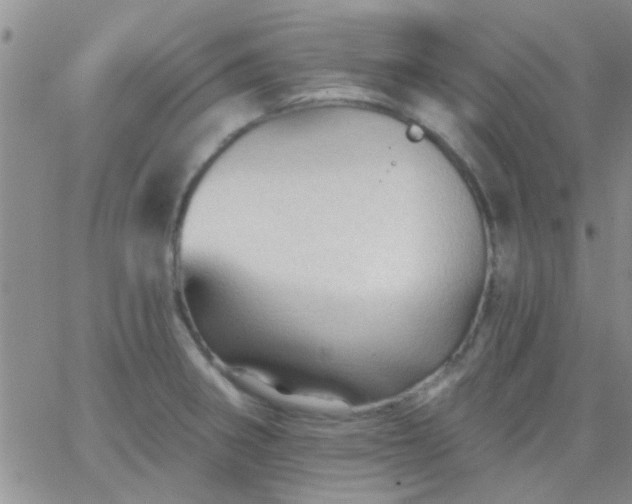 X0000066121282200603171745