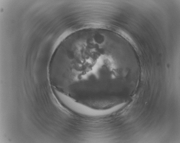 X0000066121283200603171745